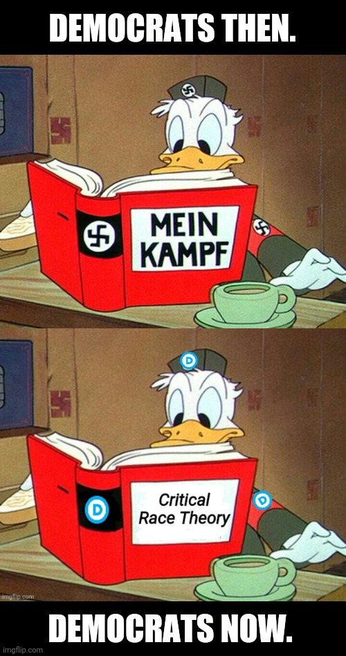 If it walks, talks, and quacks like a duck.... | DEMOCRATS THEN. DEMOCRATS NOW. | image tagged in ducks,democrats,adolf hitler laughing | made w/ Imgflip meme maker