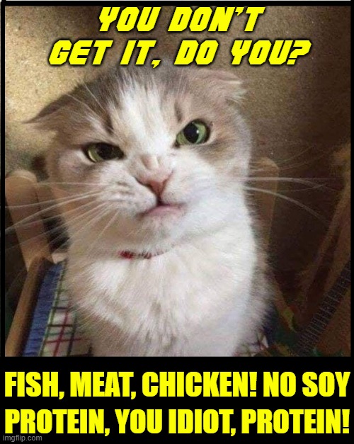 My Cat has a Way of Making his Desires Known | YOU DON'T GET IT, DO YOU? FISH, MEAT, CHICKEN! NO SOY; PROTEIN, YOU IDIOT, PROTEIN! | image tagged in vince vance,cats,memes,protein,cat food,angry cat | made w/ Imgflip meme maker