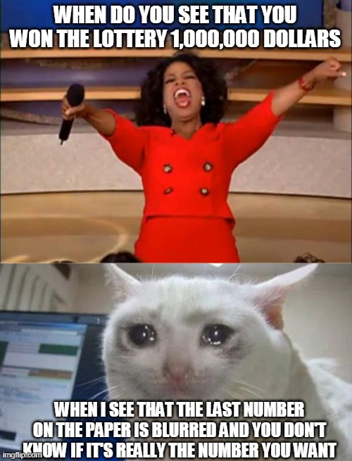 WHEN DO YOU SEE THAT YOU WON THE LOTTERY 1,000,000 DOLLARS; WHEN I SEE THAT THE LAST NUMBER ON THE PAPER IS BLURRED AND YOU DON'T KNOW IF IT'S REALLY THE NUMBER YOU WANT | image tagged in memes,oprah you get a,cat cry | made w/ Imgflip meme maker