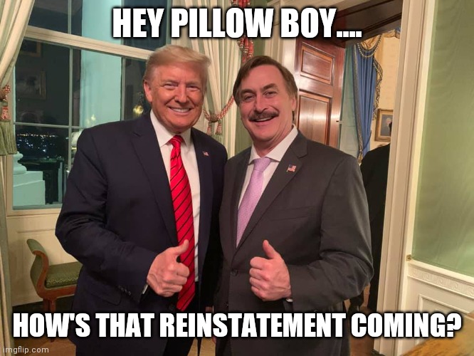 HEY PILLOW BOY.... HOW'S THAT REINSTATEMENT COMING? | image tagged in politics lol | made w/ Imgflip meme maker