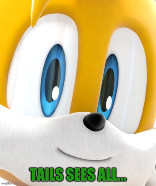 the fox is watching you!! | TAILS SEES ALL... | image tagged in the fox is watching you | made w/ Imgflip meme maker