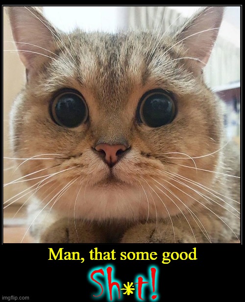 I Can See Clearly, Now... YES! | Man, that some good; Sh t! * | image tagged in vince vance,cats,memes,big eyes,good stuff,stoned | made w/ Imgflip meme maker