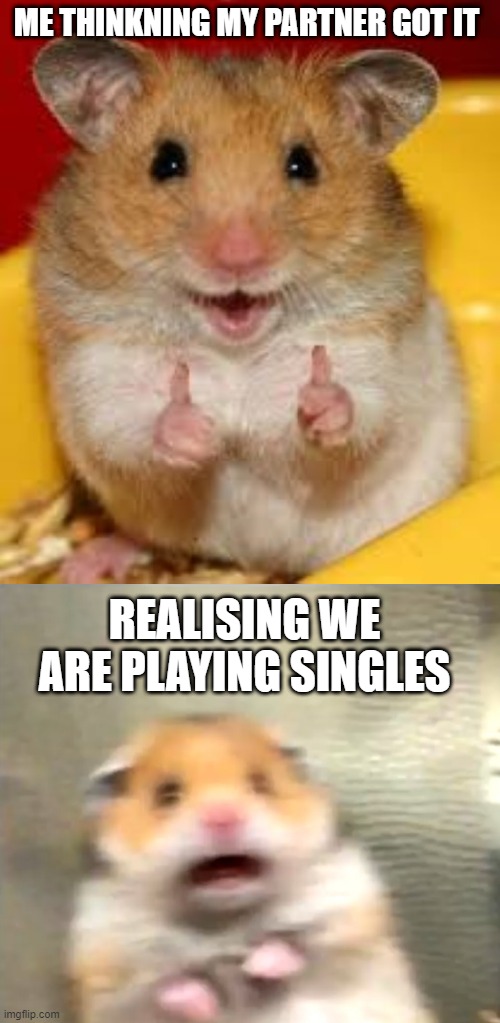 ME THINKNING MY PARTNER GOT IT; REALISING WE ARE PLAYING SINGLES | image tagged in thumbs up hamster,scared hamster | made w/ Imgflip meme maker
