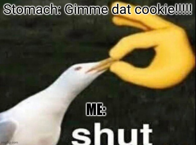 SHUT | Stomach: Gimme dat cookie!!!!! ME: | image tagged in shut | made w/ Imgflip meme maker