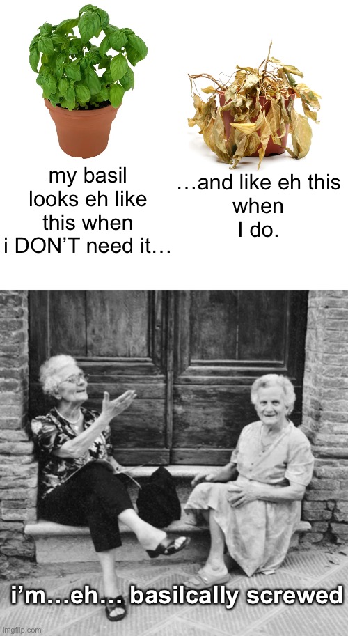 Whenever I try to make spaghetti… | my basil looks eh like this when i DON’T need it…; …and like eh this
when
I do. i’m…eh… basilcally screwed | image tagged in funny memes,bad jokes | made w/ Imgflip meme maker