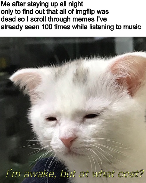 I'm awake, but at what cost? | Me after staying up all night only to find out that all of imgflip was dead so I scroll through memes I’ve already seen 100 times while listening to music; I’m awake, but at what cost? | image tagged in i'm awake but at what cost | made w/ Imgflip meme maker