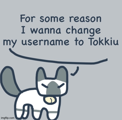 Cat | For some reason I wanna change my username to Tokkiu | image tagged in cat | made w/ Imgflip meme maker