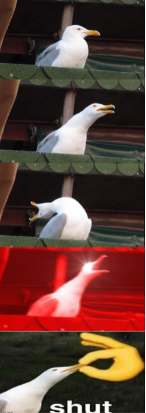 Inhale, Scream, Shut Seagull Blank Meme Template