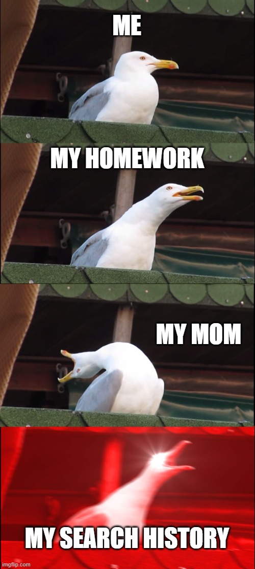 OH shit my browserchistory | ME; MY HOMEWORK; MY MOM; MY SEARCH HISTORY | image tagged in memes,inhaling seagull,browser history | made w/ Imgflip meme maker