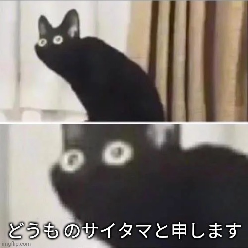 Scared cat | どうも のサイタマと申します | image tagged in scared cat | made w/ Imgflip meme maker