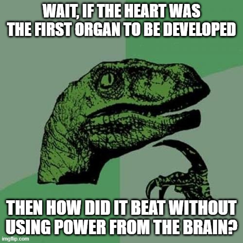 Since the heart relies on the brain, then how could the fetus's heart beat if it doesn't have a brain? | WAIT, IF THE HEART WAS THE FIRST ORGAN TO BE DEVELOPED; THEN HOW DID IT BEAT WITHOUT USING POWER FROM THE BRAIN? | image tagged in memes,philosoraptor | made w/ Imgflip meme maker
