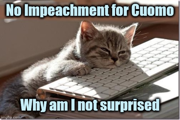 2 sets of rules , 2 sets of laws | No Impeachment for Cuomo; Why am I not surprised | image tagged in bored keyboard cat,biased media,politicians suck,impeachment,well yes but actually no,usual | made w/ Imgflip meme maker