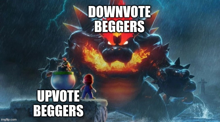 Bowser's Fury | DOWNVOTE BEGGERS; UPVOTE BEGGERS | image tagged in bowser's fury | made w/ Imgflip meme maker