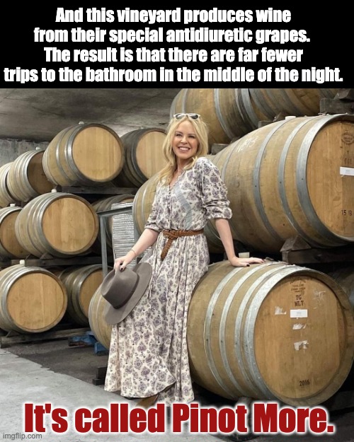 Wine |  And this vineyard produces wine from their special antidiuretic grapes.  The result is that there are far fewer trips to the bathroom in the middle of the night. It's called Pinot More. | image tagged in kylie wine barrels | made w/ Imgflip meme maker