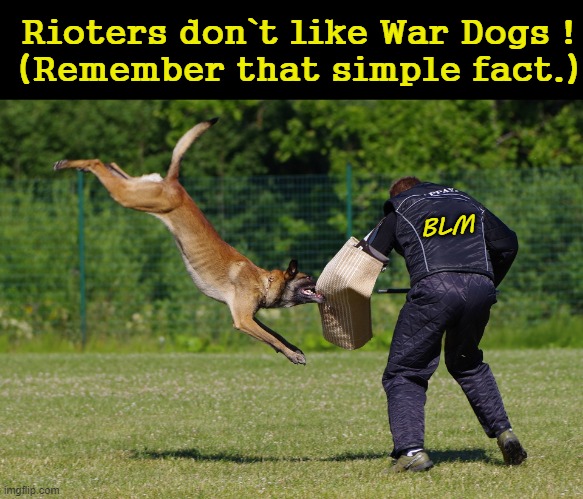 Riot Control ! | Rioters don`t like War Dogs !
(Remember that simple fact.); BLM | image tagged in reservoir dogs | made w/ Imgflip meme maker