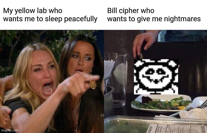 Bill bill bill Nye, the cipher eye | My yellow lab who wants me to sleep peacefully; Bill cipher who wants to give me nightmares | image tagged in memes,woman yelling at cat | made w/ Imgflip meme maker