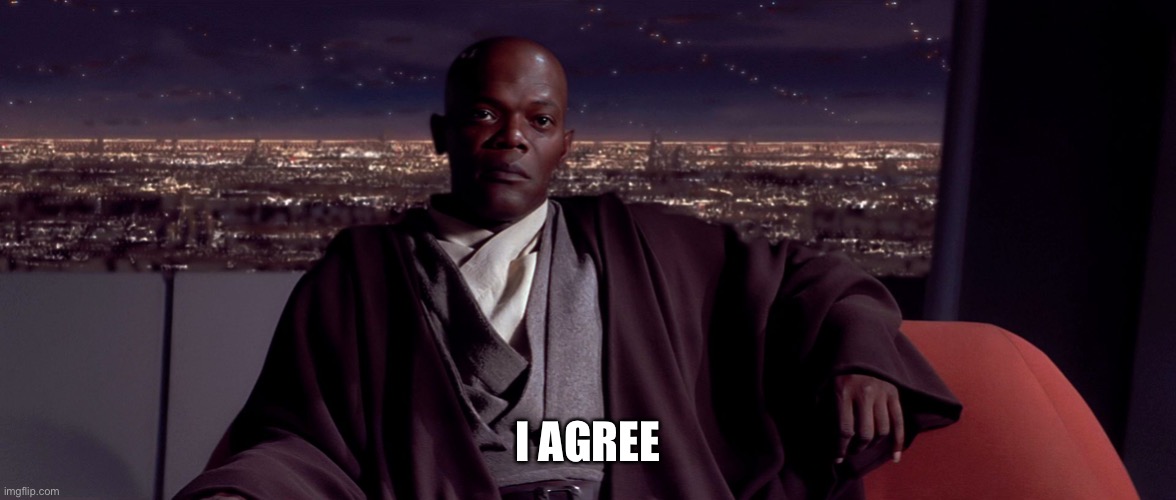 Mace Windu I agree | I AGREE | image tagged in mace windu i agree | made w/ Imgflip meme maker