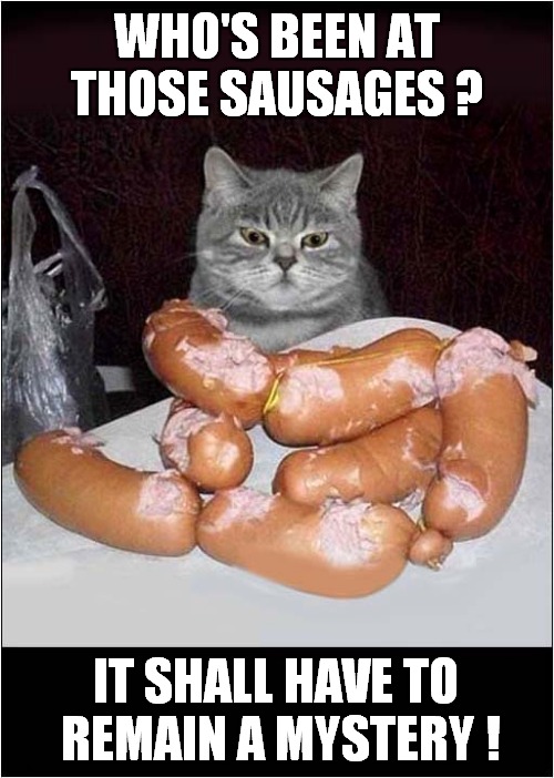 Cat Under Suspicion ? | WHO'S BEEN AT THOSE SAUSAGES ? IT SHALL HAVE TO  REMAIN A MYSTERY ! | image tagged in cats,suspicious cat,sausages,mystery | made w/ Imgflip meme maker