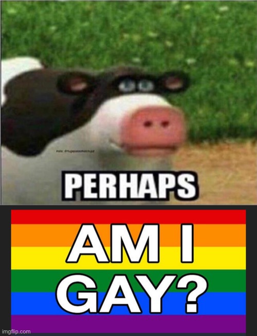 image tagged in perhaps cow | made w/ Imgflip meme maker