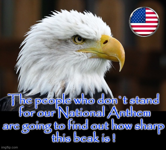 Eagle Talk | The people who don`t stand
 for our National Anthem
are going to find out how sharp
this beak is ! | image tagged in national anthem | made w/ Imgflip meme maker