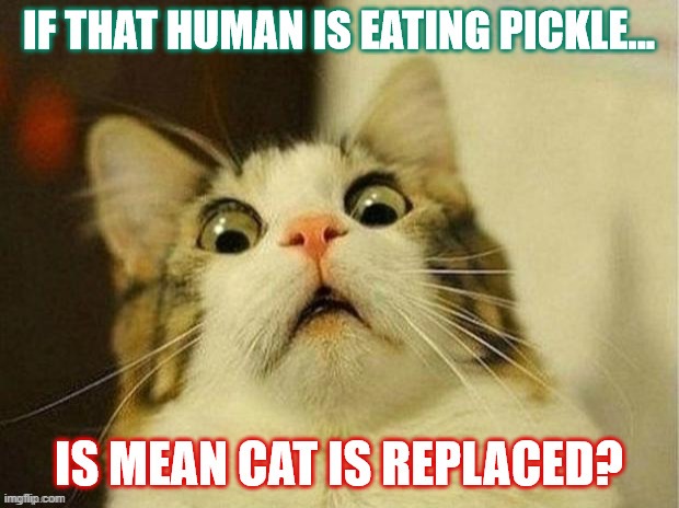 Human is the superior predator. | image tagged in fearful cat,fear of obsolete | made w/ Imgflip meme maker