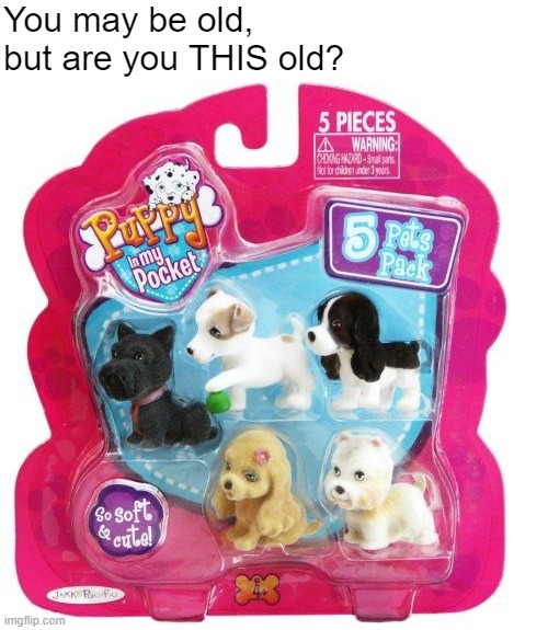 Nostalgic Meme: Puppy in my Pocket | You may be old, but are you THIS old? | image tagged in nostalgic,childhood,2000s | made w/ Imgflip meme maker