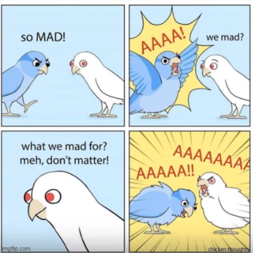 If msmg was birbs | made w/ Imgflip meme maker