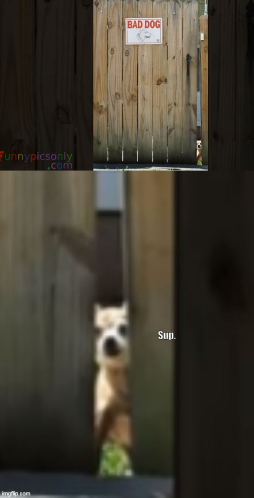 Sup. | made w/ Imgflip meme maker