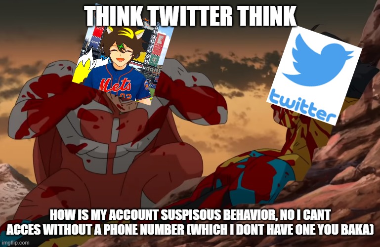 Twitter Locked my account | THINK TWITTER THINK; HOW IS MY ACCOUNT SUSPISOUS BEHAVIOR, NO I CANT ACCES WITHOUT A PHONE NUMBER (WHICH I DONT HAVE ONE YOU BAKA) | image tagged in think mark think | made w/ Imgflip meme maker