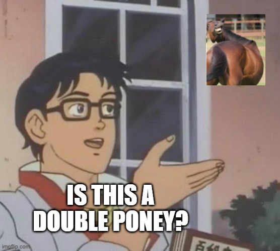 Double poney? | IS THIS A DOUBLE PONEY? | image tagged in memes,is this a pigeon | made w/ Imgflip meme maker