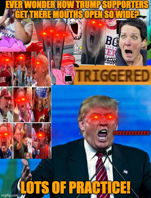 EVER WONDER HOW TRUMP SUPPORTERS GET THERE MOUTHS OPEN SO WIDE? REEEEEEEEEEE; LOTS OF PRACTICE! | image tagged in triggered trump worshippers,trump yelling | made w/ Imgflip meme maker