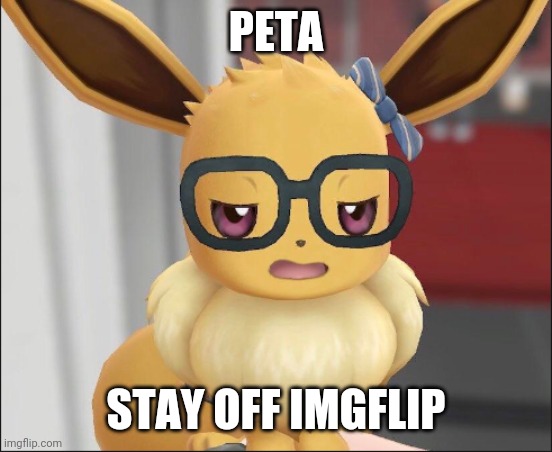 Unimpressed Eevee | PETA STAY OFF IMGFLIP | image tagged in unimpressed eevee | made w/ Imgflip meme maker