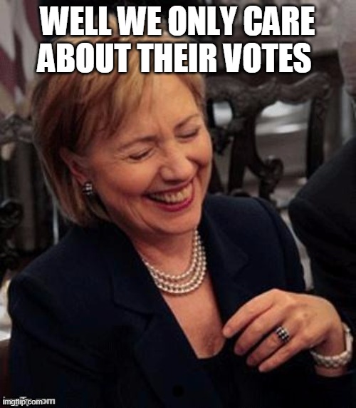 Hillary LOL | WELL WE ONLY CARE ABOUT THEIR VOTES | image tagged in hillary lol | made w/ Imgflip meme maker