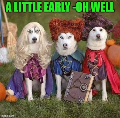 early Halloween | A LITTLE EARLY -OH WELL | image tagged in funny dogs,happy halloween | made w/ Imgflip meme maker
