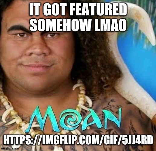 Moan | IT GOT FEATURED SOMEHOW LMAO; HTTPS://IMGFLIP.COM/GIF/5JJ4RD | image tagged in moan | made w/ Imgflip meme maker