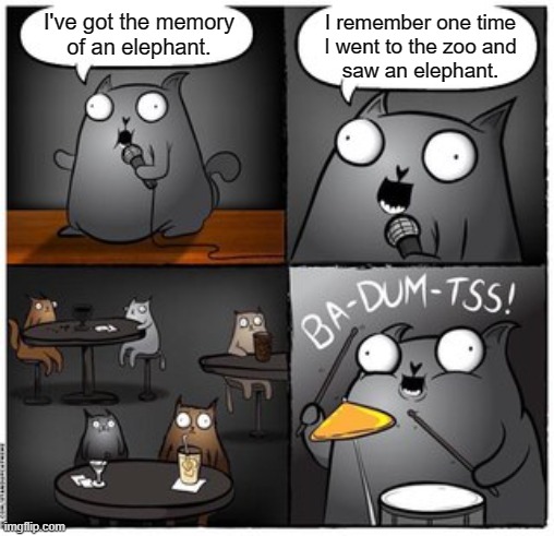 Memories | I've got the memory
of an elephant. I remember one time
I went to the zoo and
saw an elephant. | image tagged in ba-dum-tss catto,memory,elephant,zoo,eyeroll | made w/ Imgflip meme maker