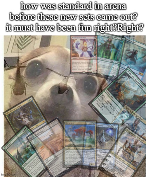Magic The Gathering Arena post Rotation | how was standard in arena before these new sets came out?  it must have been fun right?Right? | image tagged in ptsd chihuahua | made w/ Imgflip meme maker