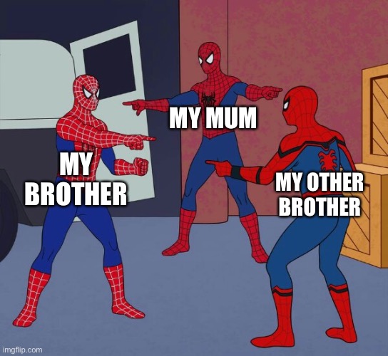 Who took da food | MY MUM; MY BROTHER; MY OTHER BROTHER | image tagged in spider man triple | made w/ Imgflip meme maker
