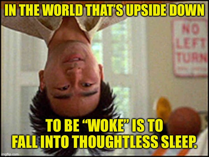 To be woke is to sleep | IN THE WORLD THAT’S UPSIDE DOWN; TO BE “WOKE” IS TO FALL INTO THOUGHTLESS SLEEP. | image tagged in long duck dong upside down,woke joke,angry sjw,leftism is a mental illness | made w/ Imgflip meme maker