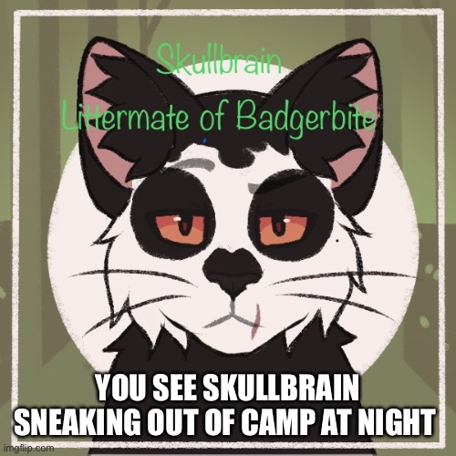 Odd… | YOU SEE SKULLBRAIN SNEAKING OUT OF CAMP AT NIGHT | made w/ Imgflip meme maker