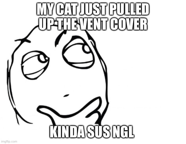 hmmm | MY CAT JUST PULLED UP THE VENT COVER; KINDA SUS NGL | image tagged in memes,hmmm | made w/ Imgflip meme maker