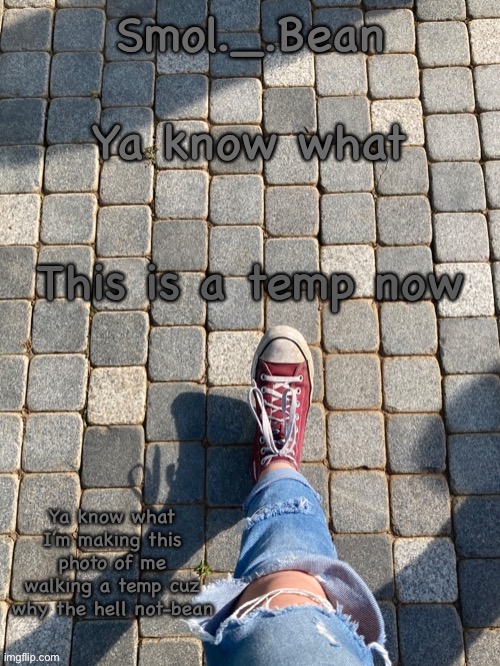 Cuz why the hell not | Ya know what; This is a temp now | image tagged in beans foot temp | made w/ Imgflip meme maker