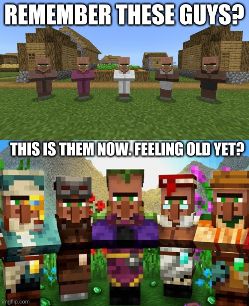 REMEMBER THESE GUYS? THIS IS THEM NOW. FEELING OLD YET? | image tagged in villagers,minecraft,old,feeling old yet | made w/ Imgflip meme maker