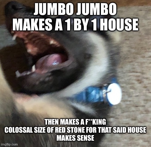 angy doggo | JUMBO JUMBO MAKES A 1 BY 1 HOUSE; THEN MAKES A F**KING COLOSSAL SIZE OF RED STONE FOR THAT SAID HOUSE
MAKES SENSE | image tagged in angy doggo | made w/ Imgflip meme maker