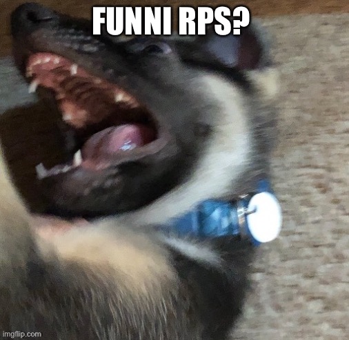 angy doggo | FUNNI RPS? | image tagged in angy doggo | made w/ Imgflip meme maker