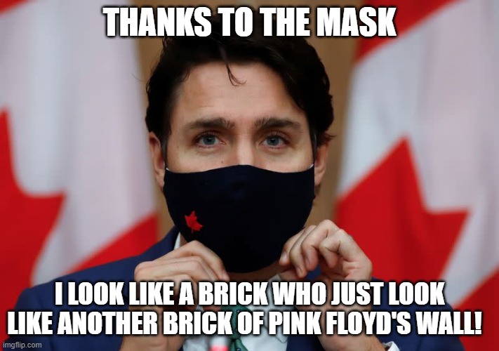 Justin Trudeau masked | THANKS TO THE MASK; I LOOK LIKE A BRICK WHO JUST LOOK LIKE ANOTHER BRICK OF PINK FLOYD'S WALL! | image tagged in justin trudeau masked | made w/ Imgflip meme maker