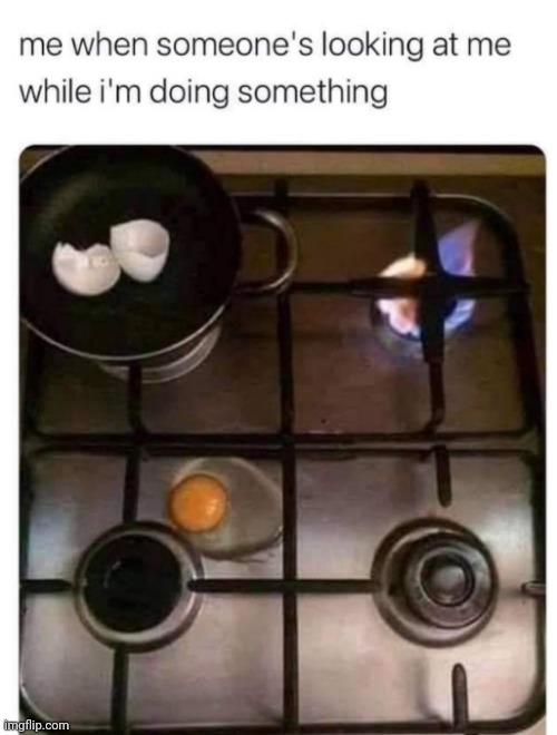 image tagged in funny memes | made w/ Imgflip meme maker