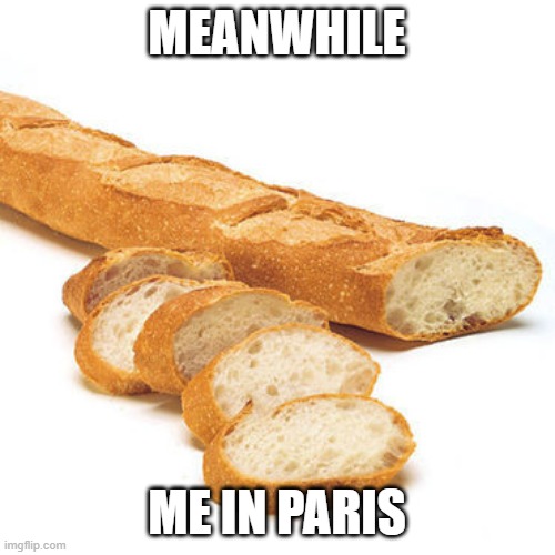 French Bread Baguette | MEANWHILE ME IN PARIS | image tagged in french bread baguette | made w/ Imgflip meme maker