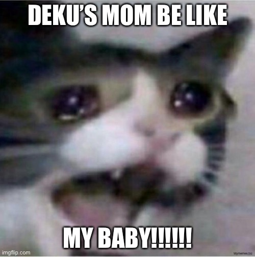 cat crying | DEKU’S MOM BE LIKE; MY BABY!!!!!! | image tagged in cat crying | made w/ Imgflip meme maker