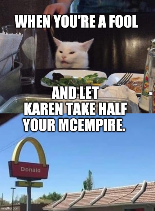 WHEN YOU'RE A FOOL; AND LET KAREN TAKE HALF YOUR MCEMPIRE. J M | image tagged in salad cat | made w/ Imgflip meme maker